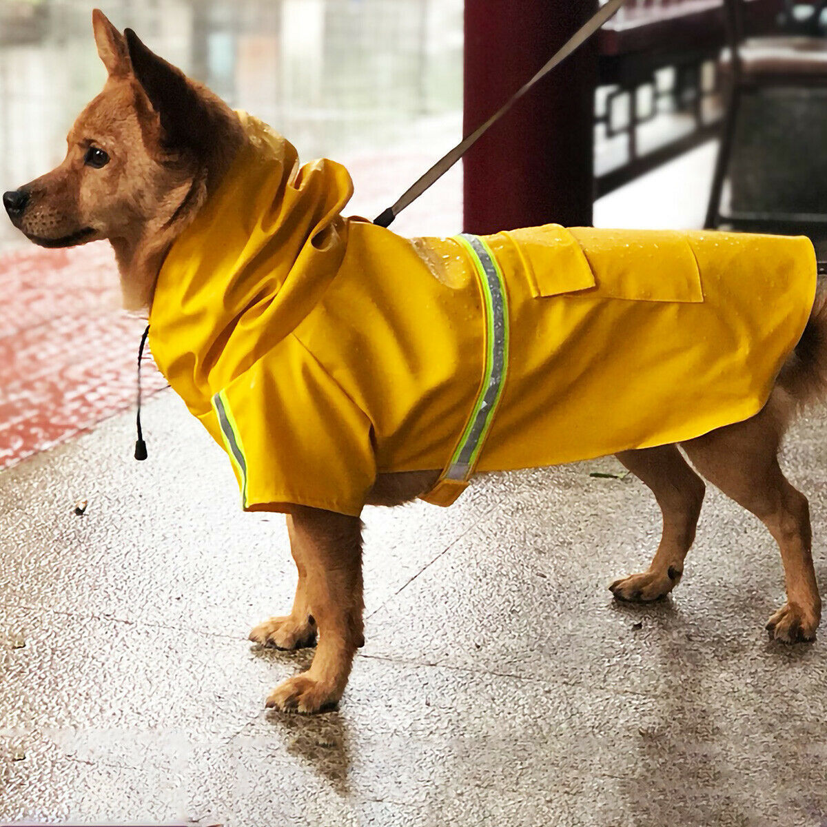 Dog Raincoat