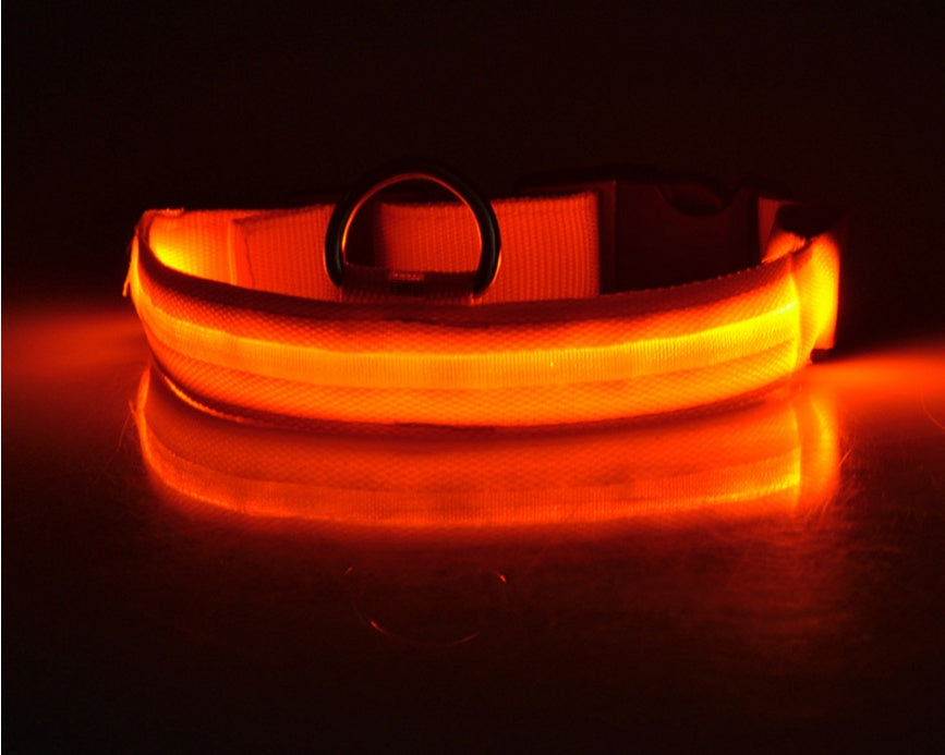 Luminous Glow-in-the-Dark Safety for Dogs & Cats