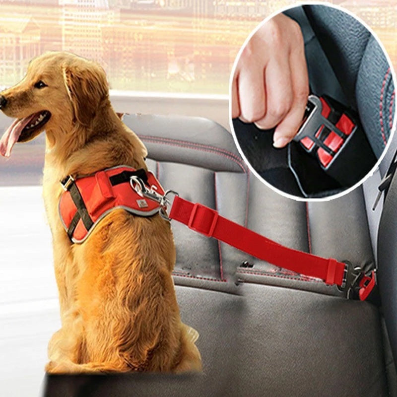 Adjustable car seat belt harness for pets, designed for dogs and cats with a lead clip, traction control, and collars for added comfort and safety