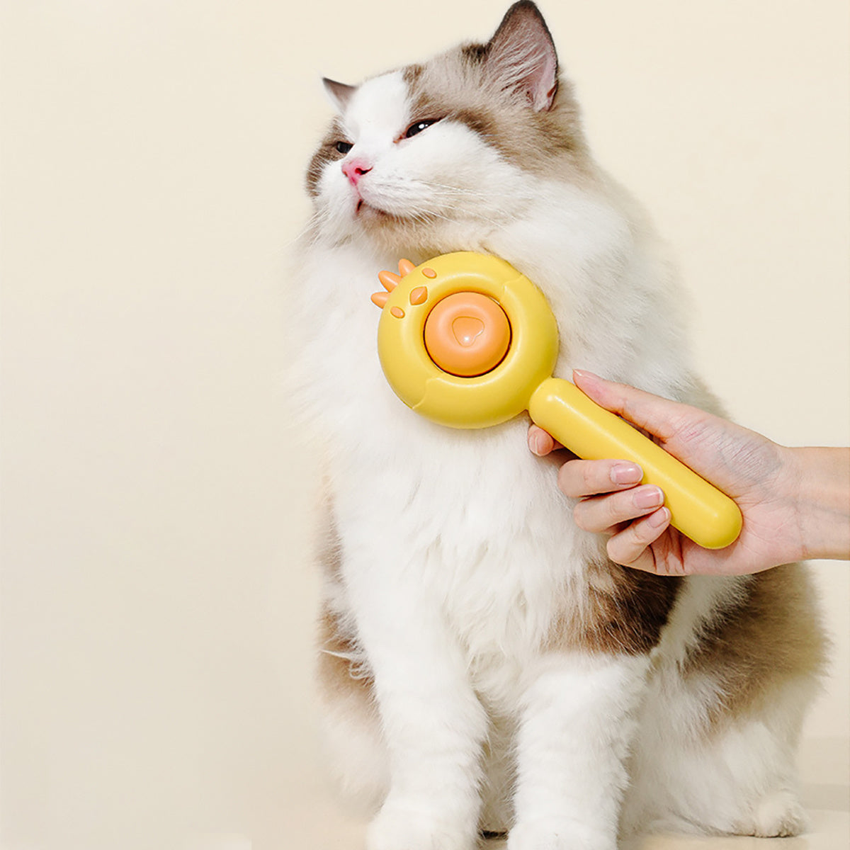 Pet Brush