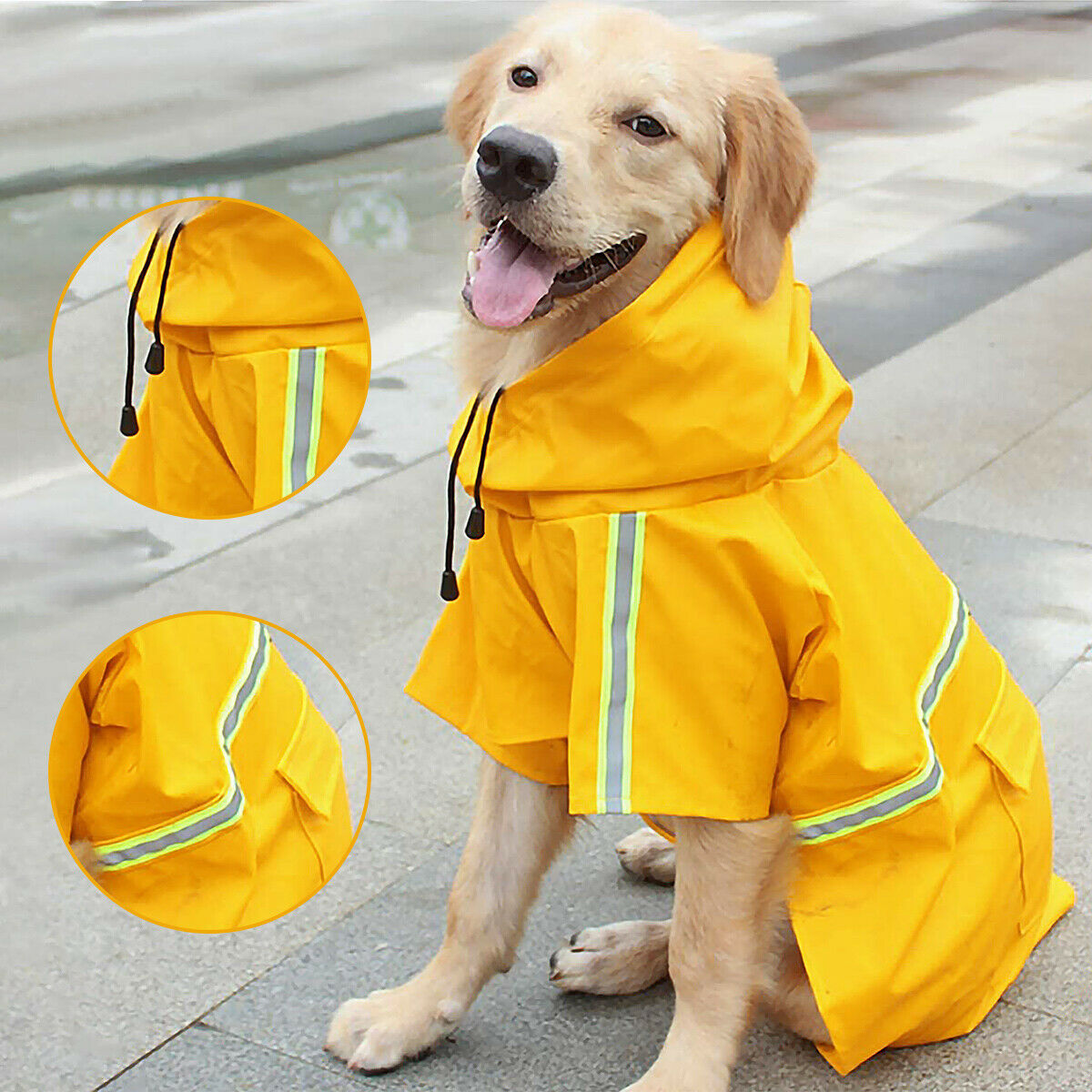 Dog Raincoat