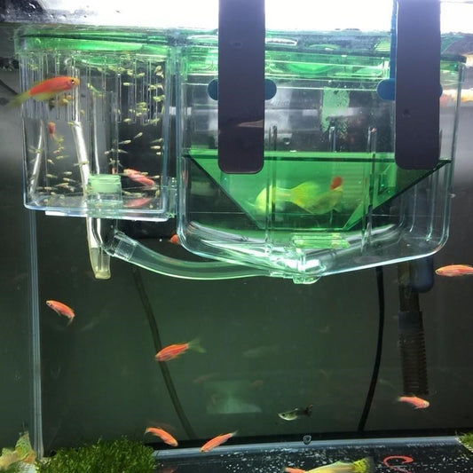 Floating hatching box for guppies, sick fish, and fighting fish with transparent lid, two-way water flow, and feeding hole, ideal for aquariums.