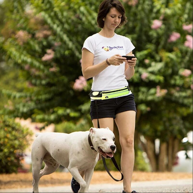 Hands-Free Dog Lead