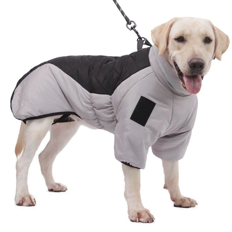 Dog Coat