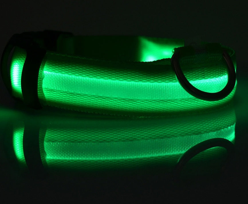 Luminous Glow-in-the-Dark Safety for Dogs & Cats