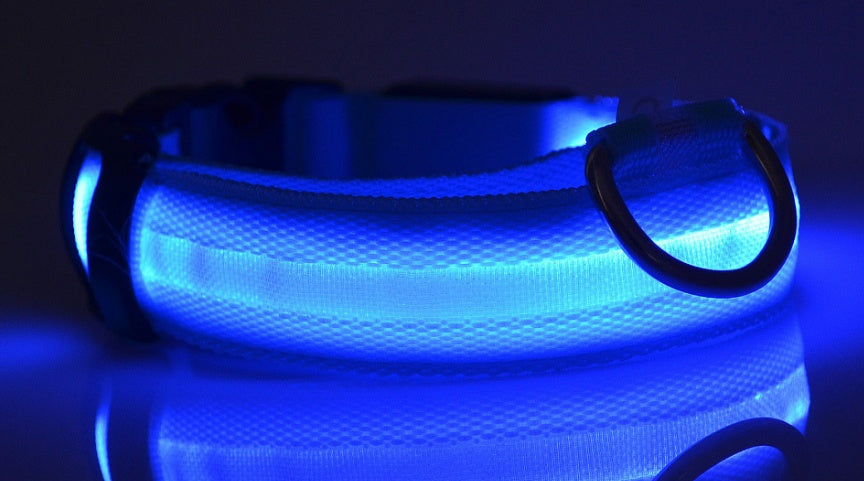 Luminous Glow-in-the-Dark Safety for Dogs & Cats