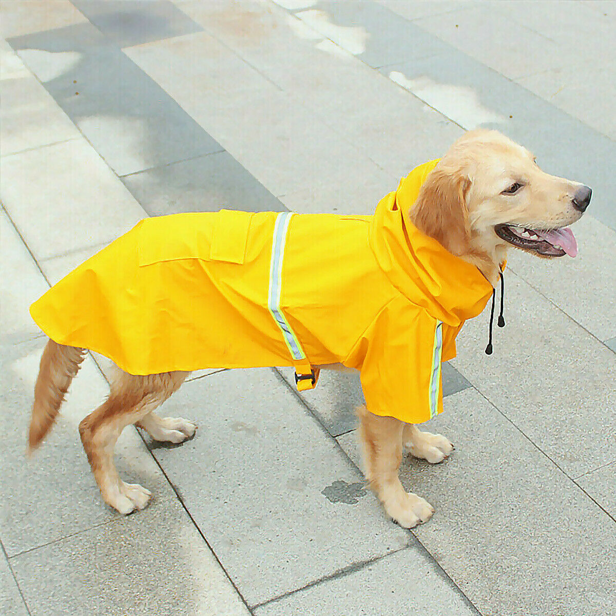 Dog Raincoat