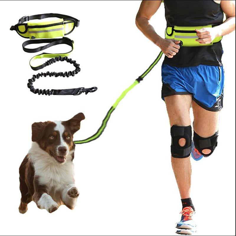 Hands-Free Dog Lead