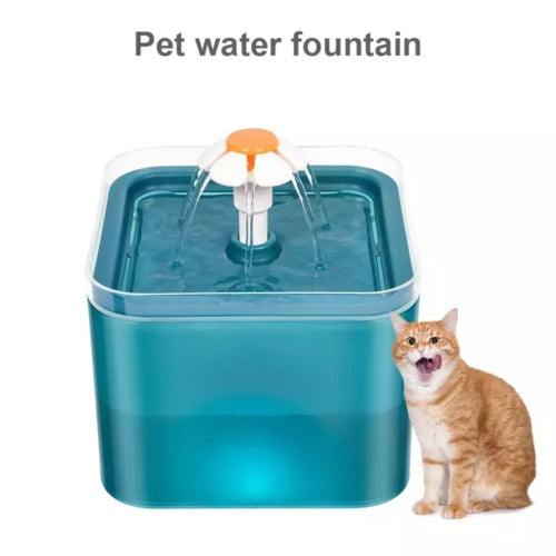 Cat Fountain 