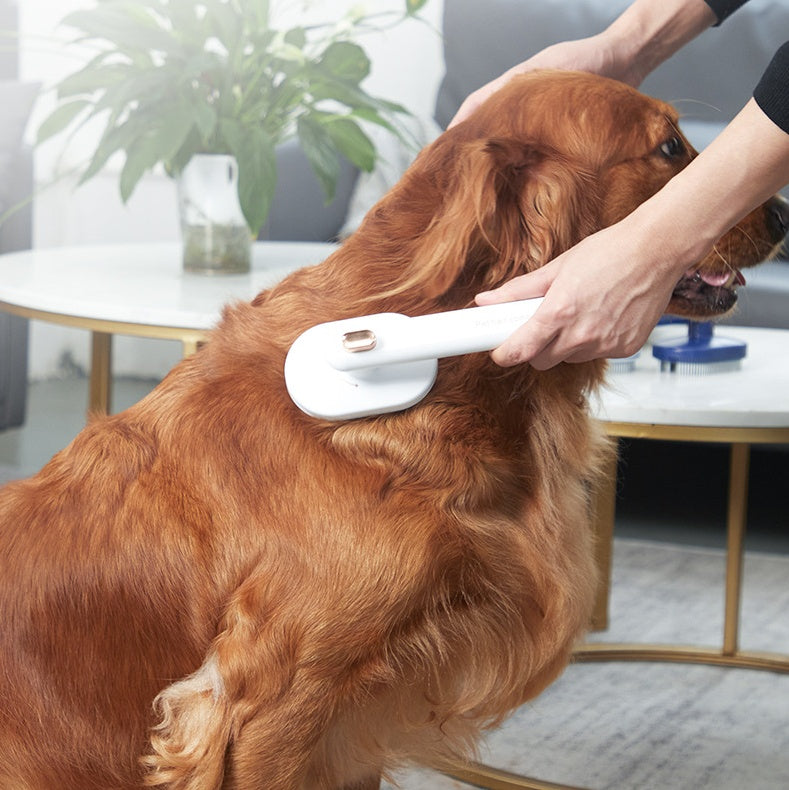 Self-cleaning pet grooming brush for cats and dogs, designed to remove shedding hair and floating fur effortlessly.