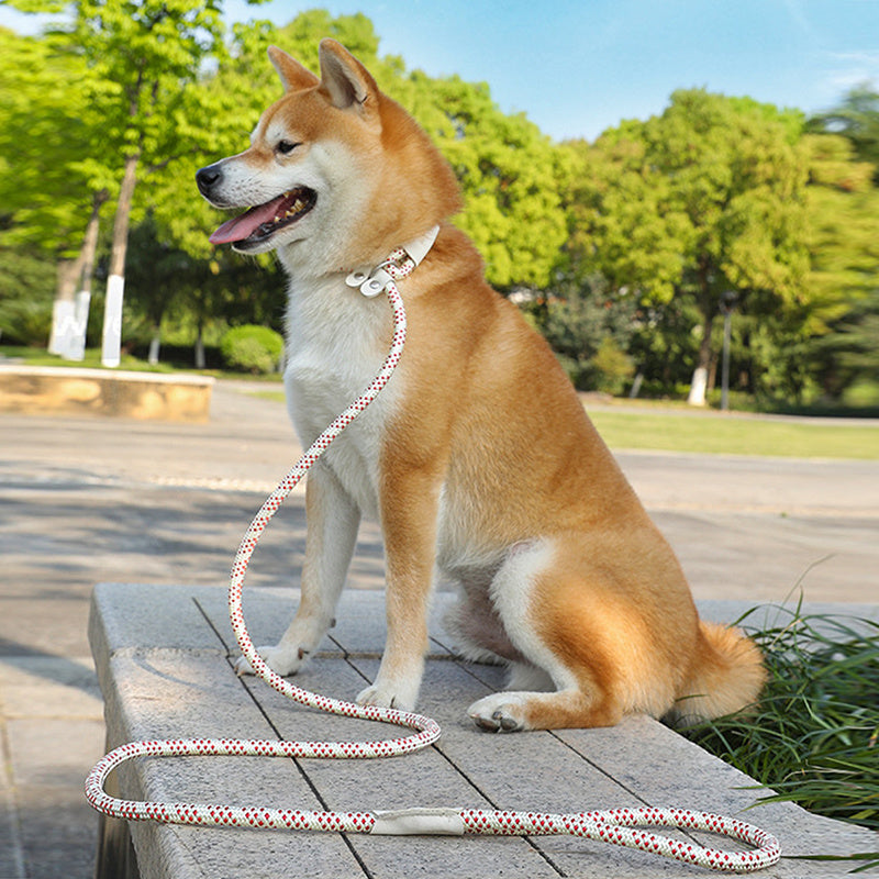 Dog Rope Pet Pulling Rope Puppy Strap Traction Rope Heavy Duty Belt Large Dog Leash Dog Collar Strap Dog Training Pet Harness Hands-Free Leash For Small Dogs Multicolor Pet Supplies - Claw Collections Uk 