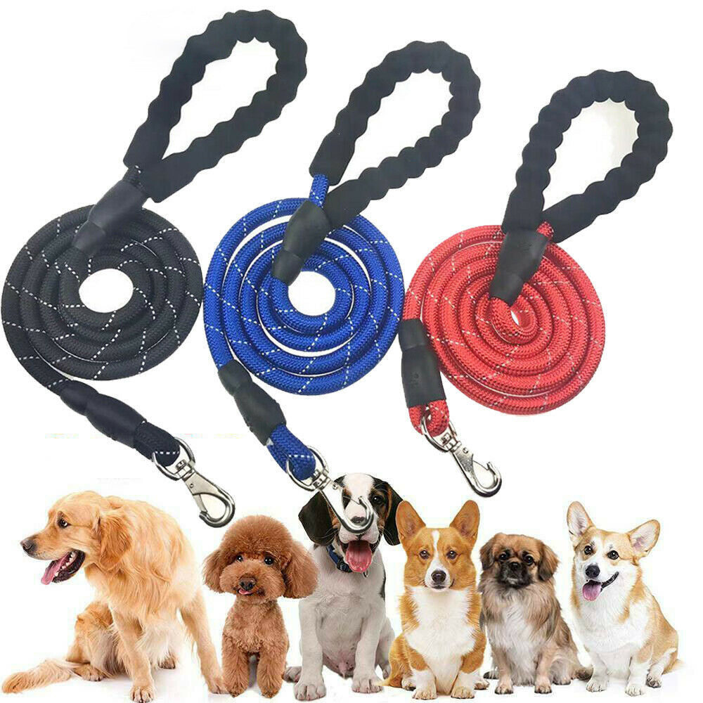 Dogs Leash Running Elasticity Hand Freely Pet Products Dogs Harness Collar Jogging Lead And Adjustable Waist Rope Puppy Leash Lead Training Padded Handle Reflective - Claw Collections Uk 