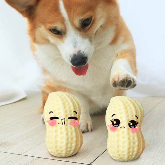 Funny Pet Dog Squeaky Toys For Small Middle Dogs Bite Resistant Puppy Cat Dogs Toys Pets Rubber Peanut Clean Tooth Chew Toy - Claw Collections Uk 