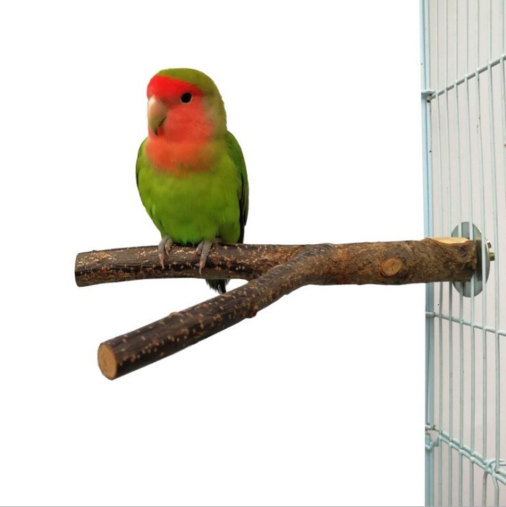 Bird standing frame rattan ring chewing toy for bird cages, made of wood with braided apple branch, available in 15cm and 20cm sizes for small to medium birds.