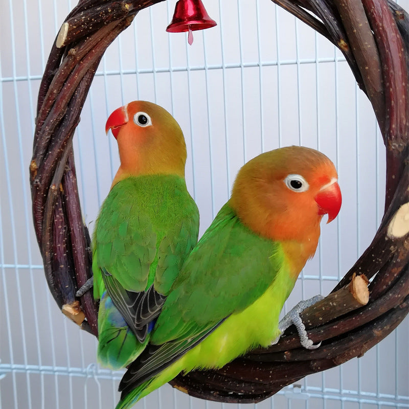 Bird standing frame rattan ring chewing toy for bird cages, made of wood with braided apple branch, available in 15cm and 20cm sizes for small to medium birds.