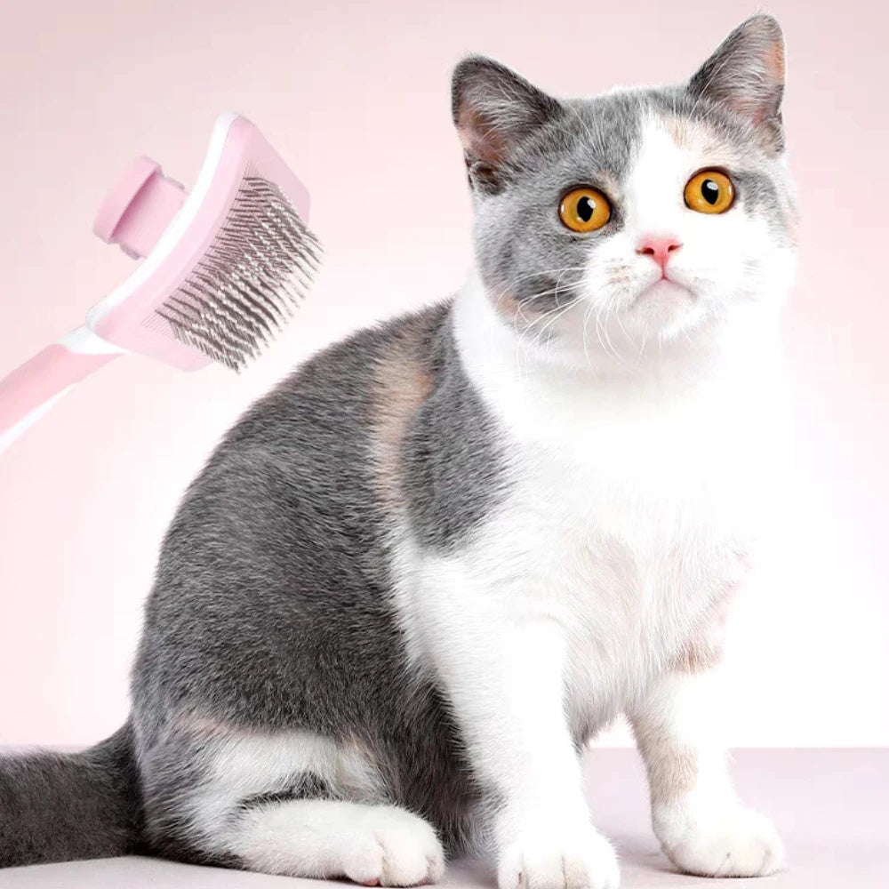 Cat Brush